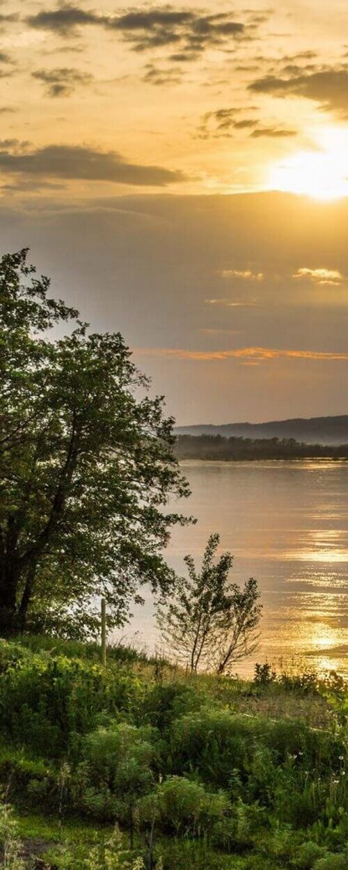 Пример изображения для макета изображения на стекле, фото 9